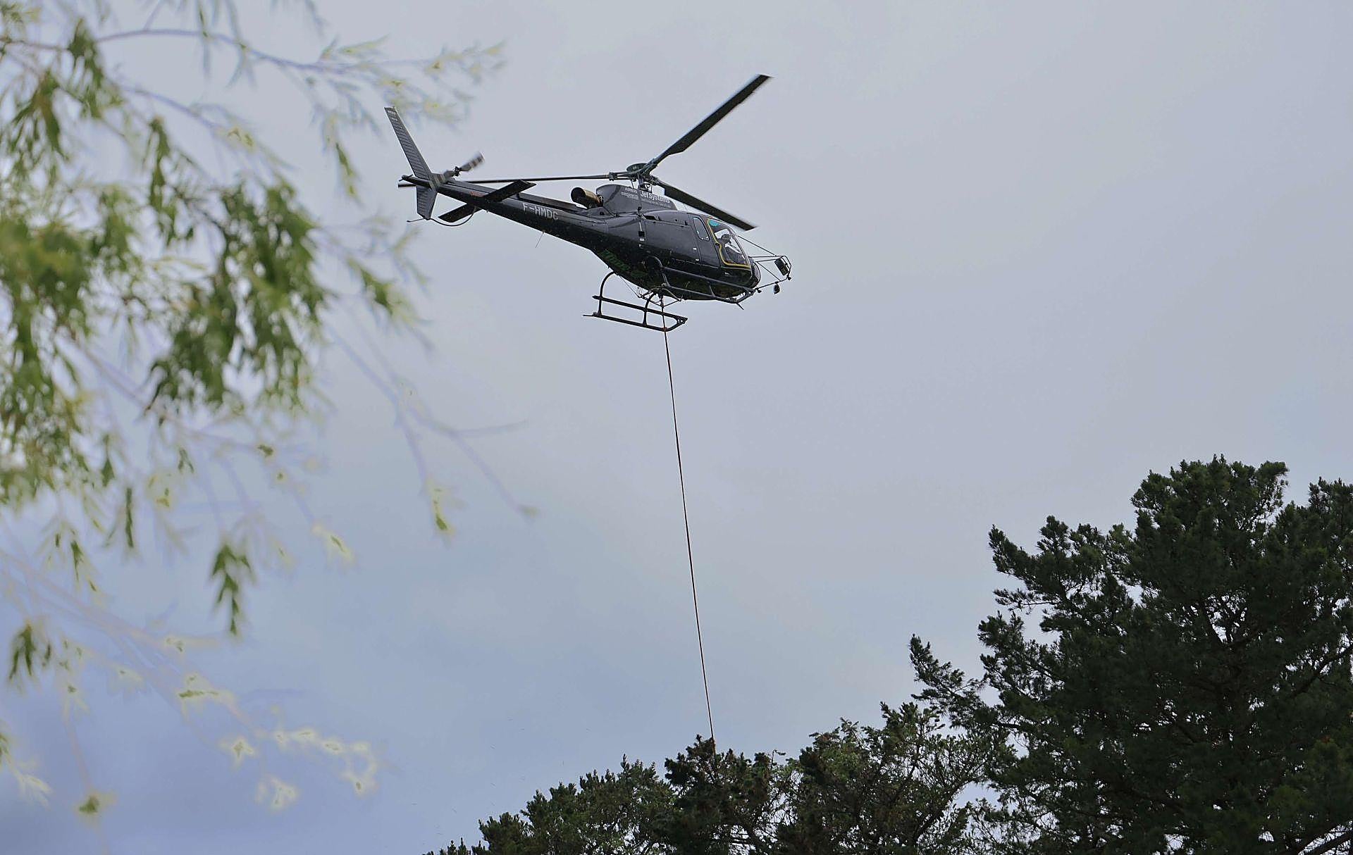 La poda de altura con helicóptero, en imágenes