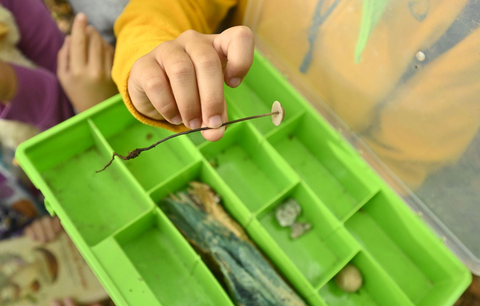 Así vivieron los más pequeños la recogida de setas y hongos en Artikutza