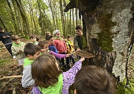 Unai Fernandes, de Aranzadi, explica a los niños una de las especies de hongo que hallaron en un árbol y que no era comestible.