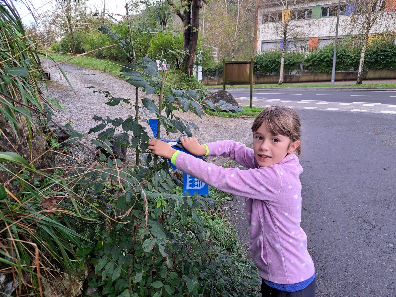400 mendizale gazte baino gehiago Tolosan