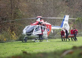 Imagen de archivo de un helicóptero de la Ertzaintza.