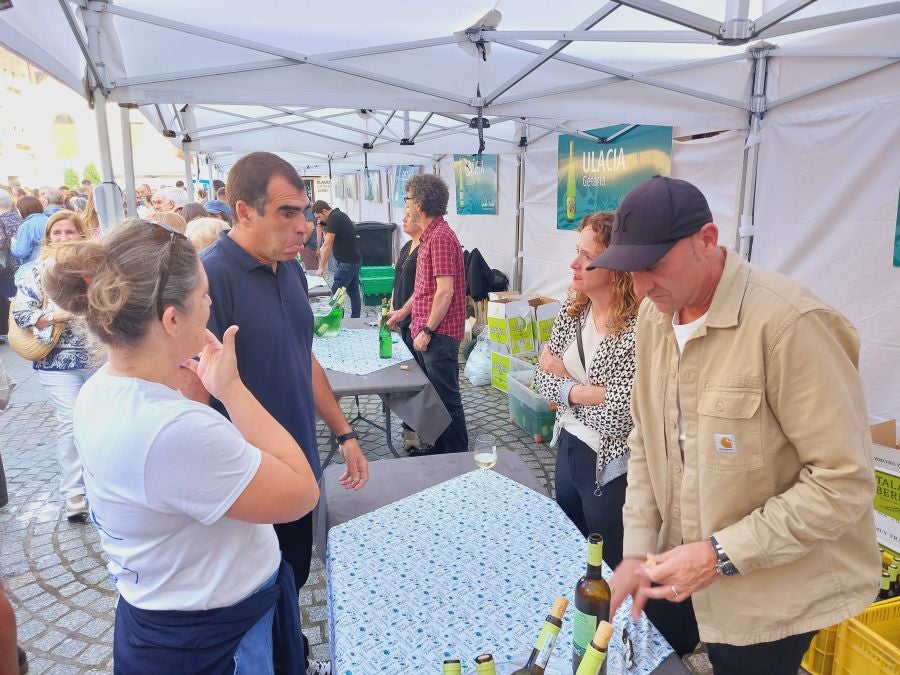 El txakoli eguna, en imágenes