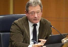 El consejero de Seguridad, Bingen Zupiria, en una comparecencia en el Parlamento Vasco