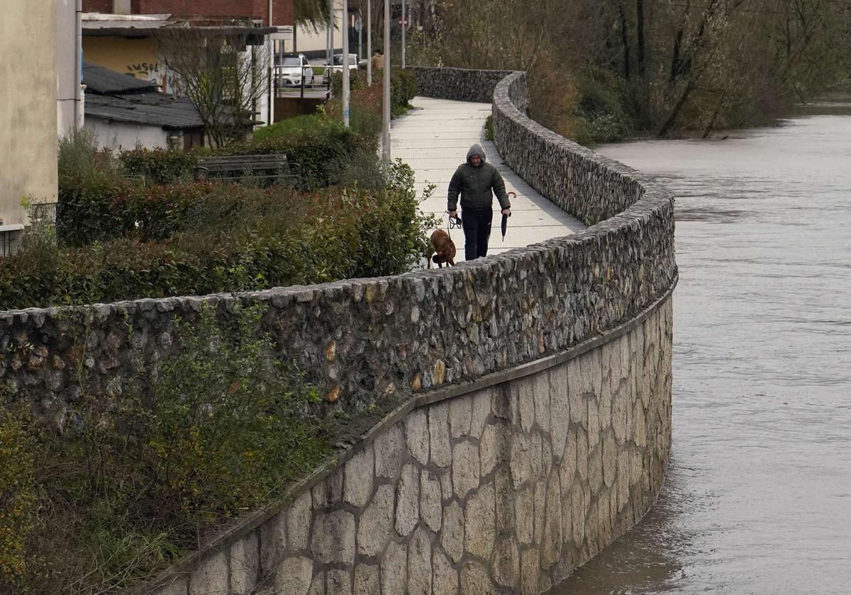 Muros elevados de contención del cauce del Urumea en el barrio donostiarra de Martutene.