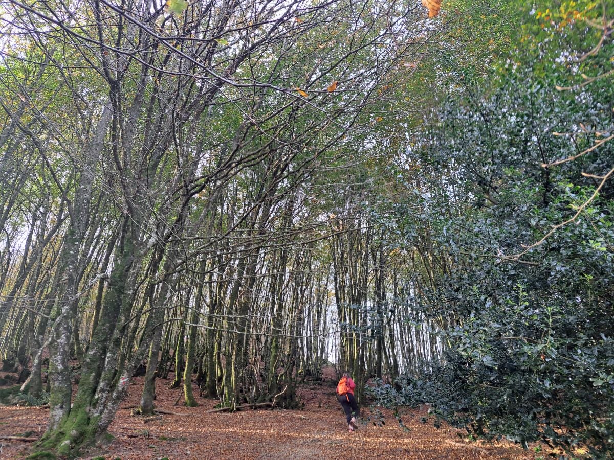 Hautza, una cima navarra vistas espectaculares