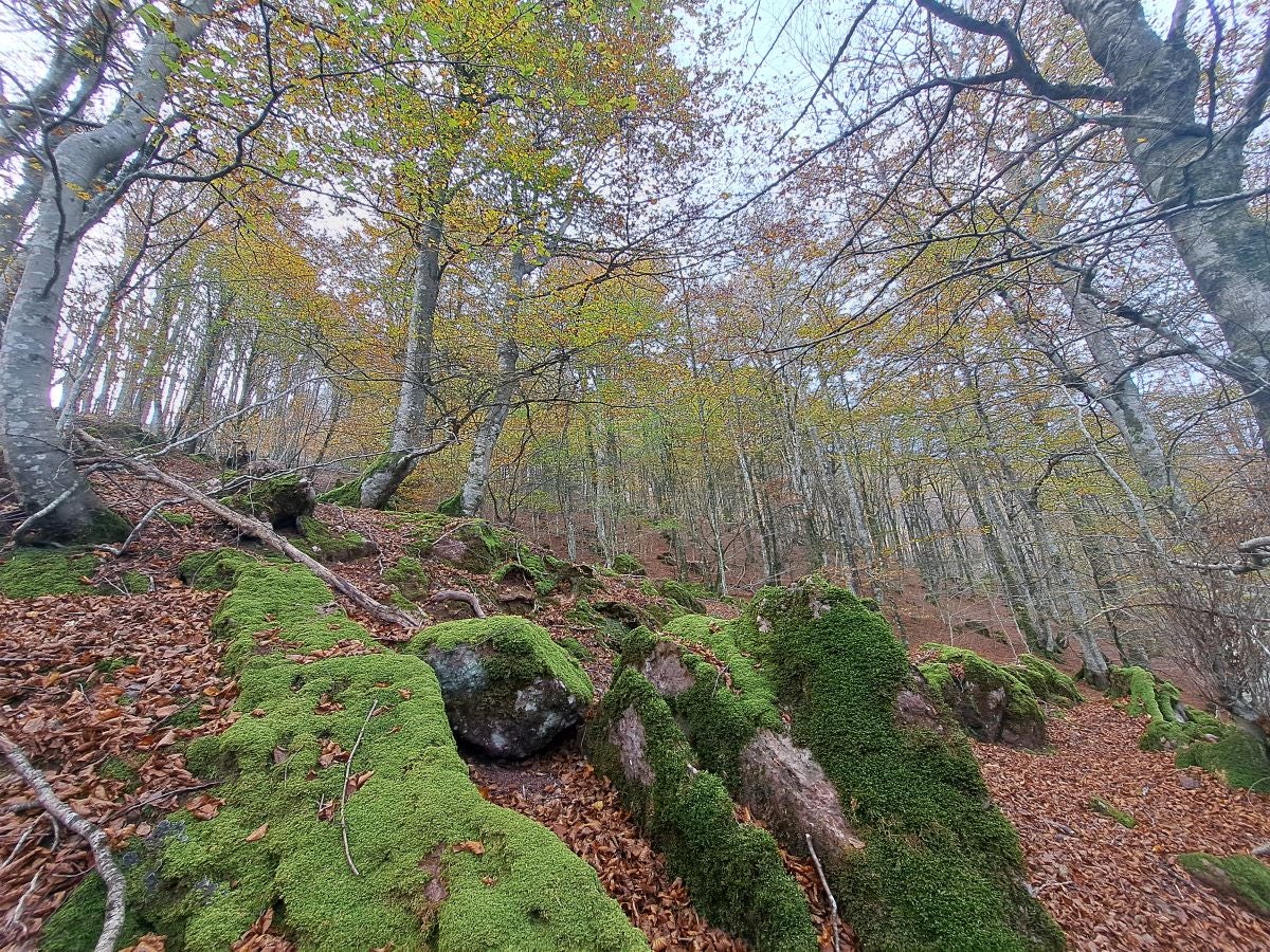 Hautza, una cima navarra vistas espectaculares