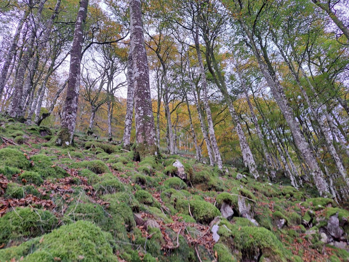 Hautza, una cima navarra vistas espectaculares