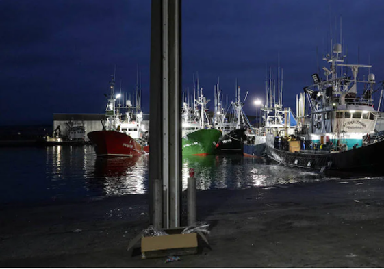 Barcos de pesca de bonito, al alba en el puerto de Hondarribia hace unos días para efectuar una descarga.