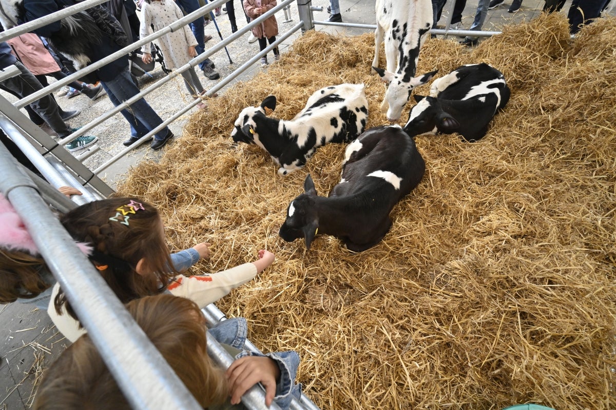 Gran ambiente en las jornadas Esneki