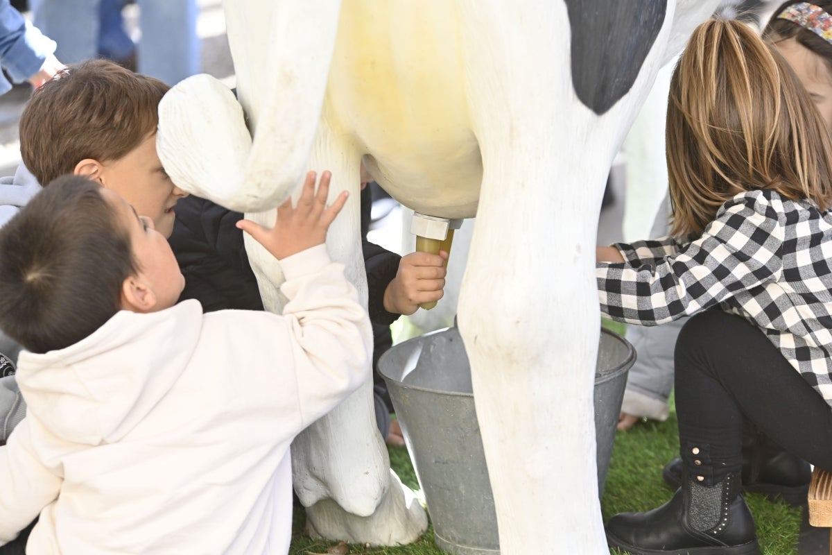 Gran ambiente en las jornadas Esneki