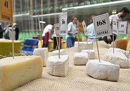 Concurso.El Beotibar acogió el Campeonato de Leche, Quesos y Lácteos de Euskal Herria, con degustación popular.