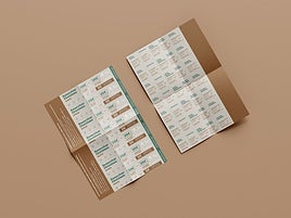 Udalak azken asteetan saldutako bonuen irudia