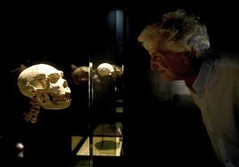 Juan Luis Arsuaga observa a Miguelón un cráneo de Homo heidelbergensis de 400.000 años hallado en Atapuerca y que ahora se expone en el Museo de la Evolución Humana de Burgos.