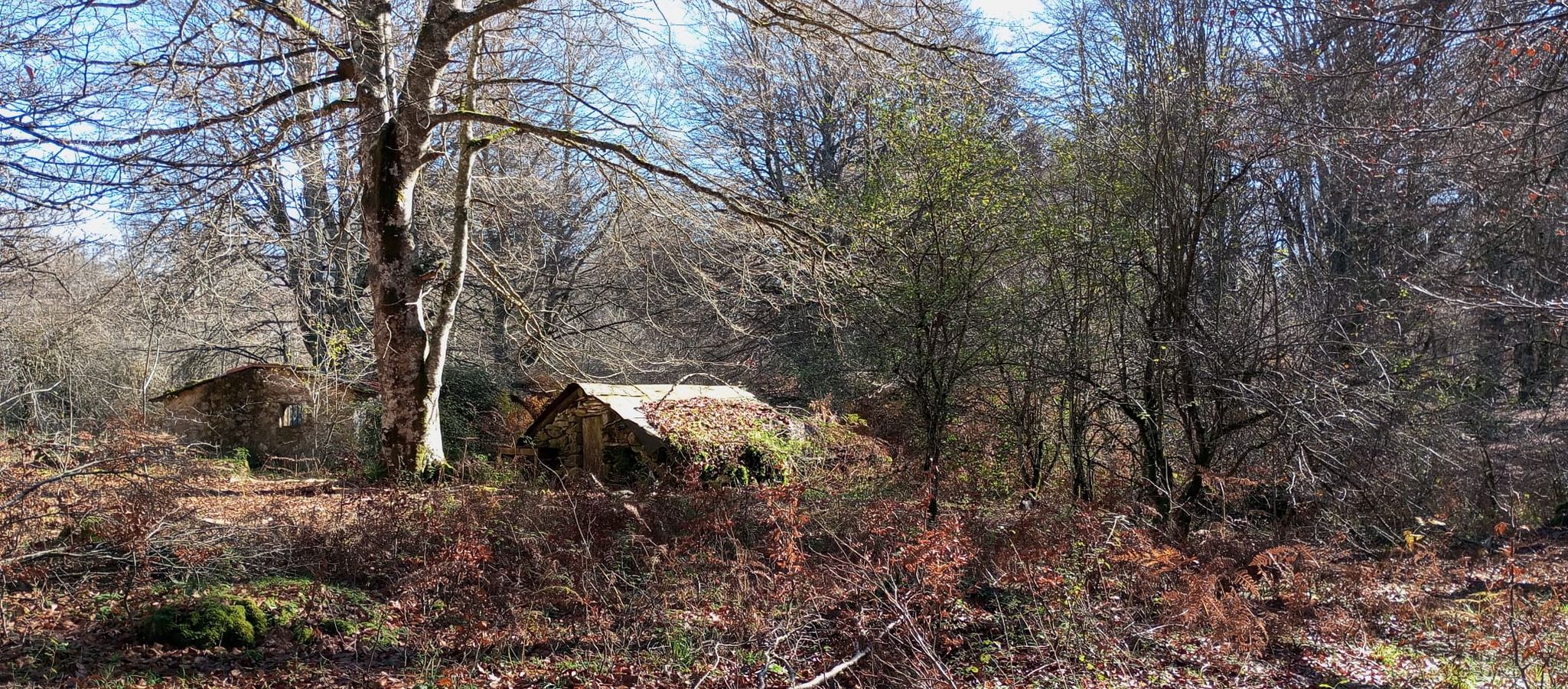 La belleza natural de Txumardegi