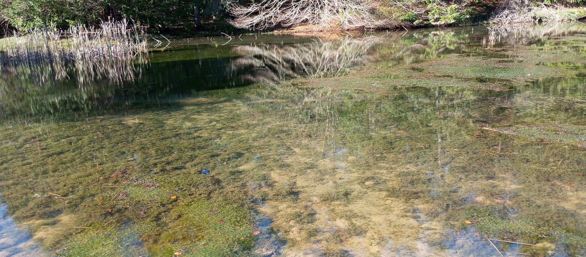 La belleza natural de Txumardegi
