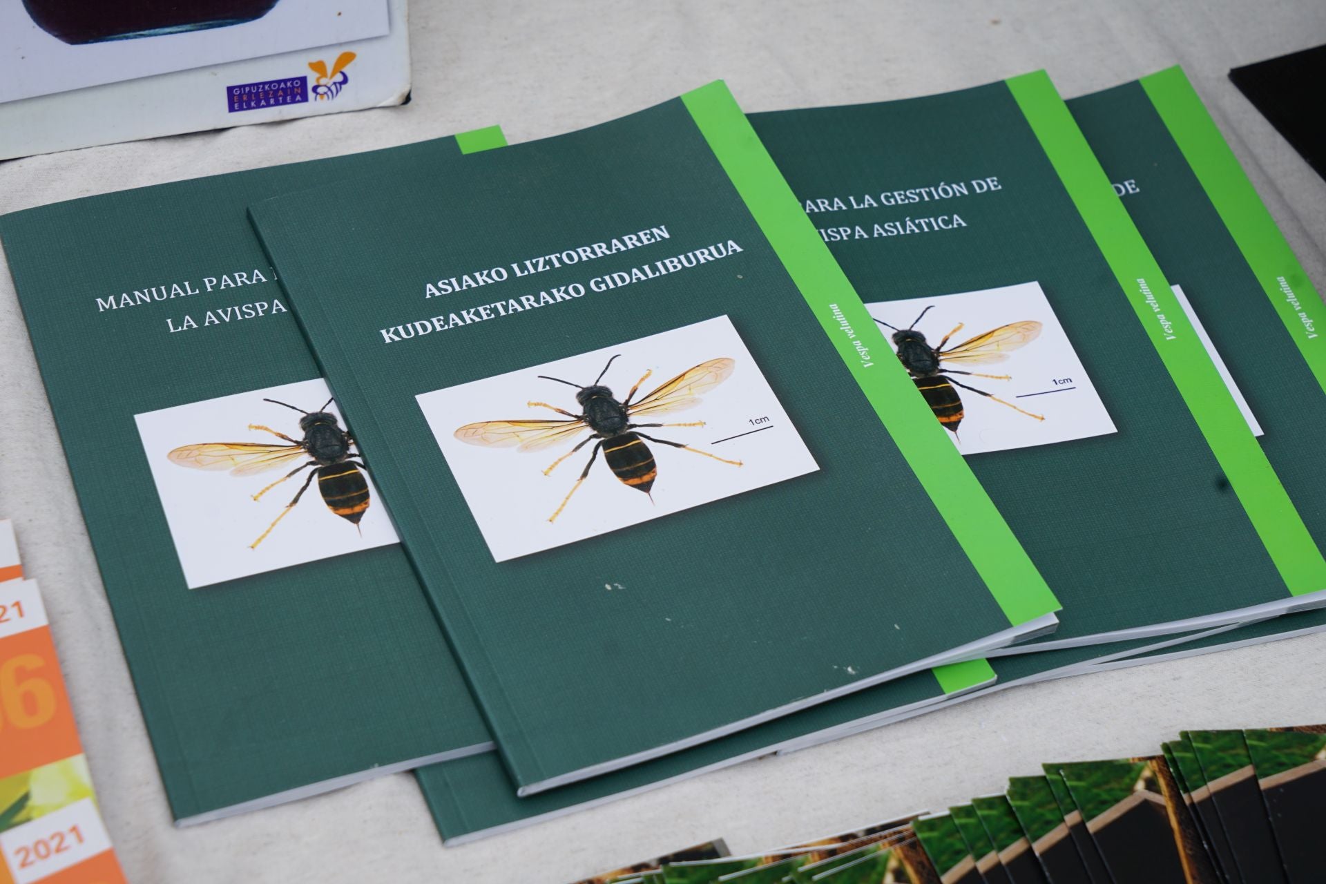 Gabirian ospatutako sagar azokaren argazkiak