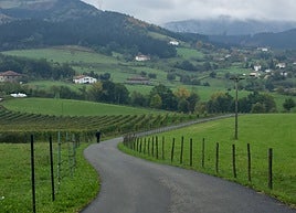 El catastro divide el amplísimo entorno rural oñariarra en 28 polígonos.