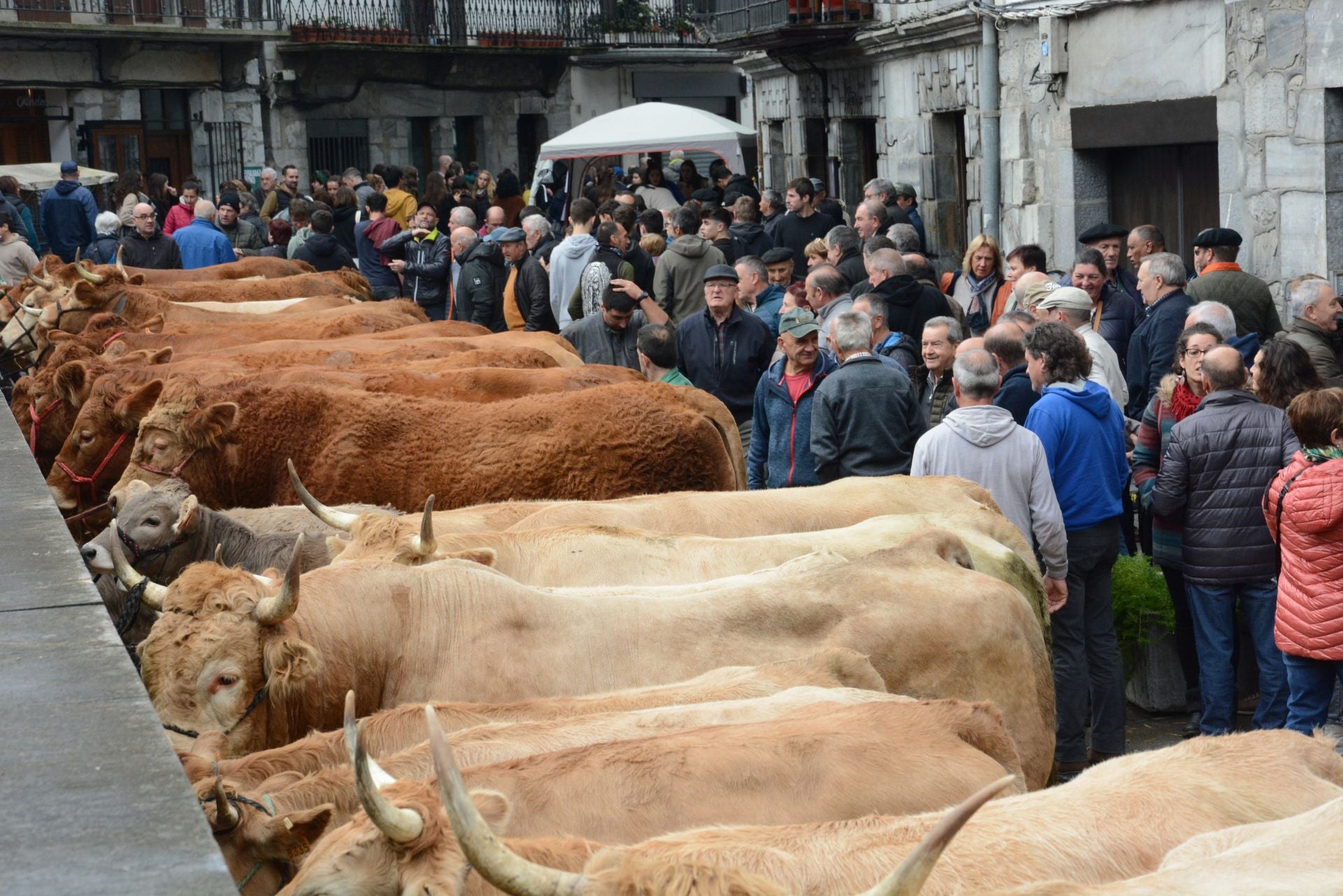 Lesaka celebra sus Ferias de Otoño