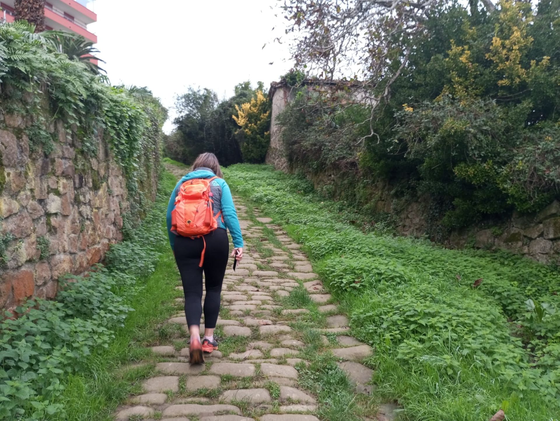 San Antón, una ruta entre viñedos y el mar