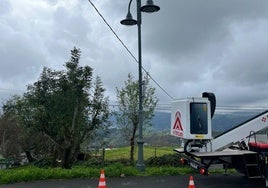 Los trabajos han empezado en el barrio de Elorriaga.