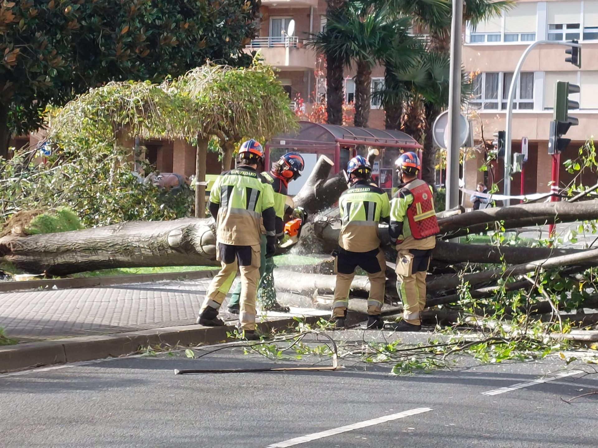 Los bomberos cortando un árbol caído en Zumaia.