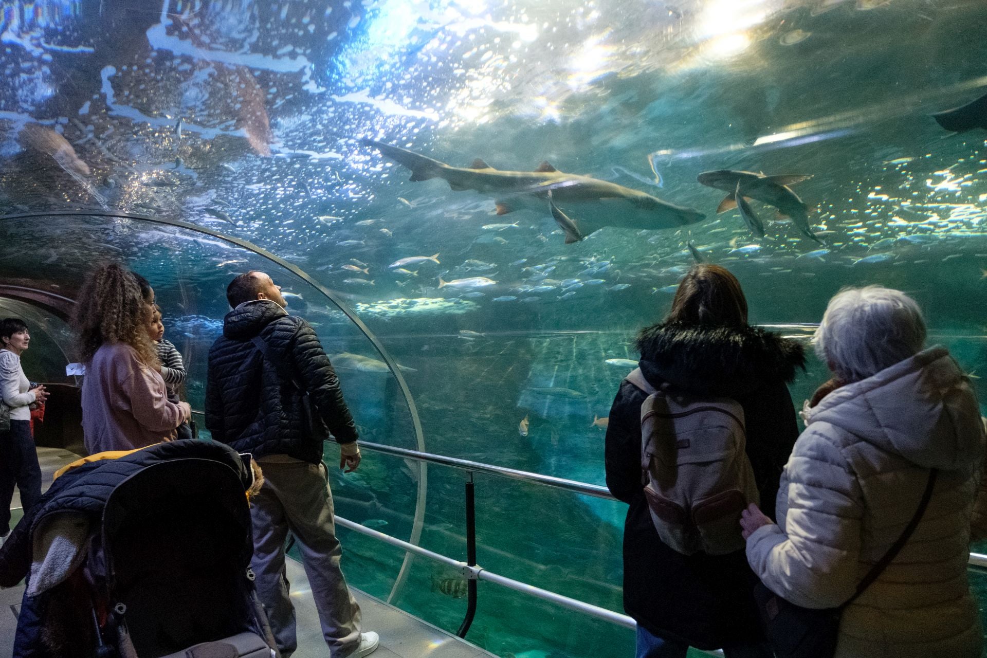 Visita al Aquarium de los suscriptores de El Diario Vasco