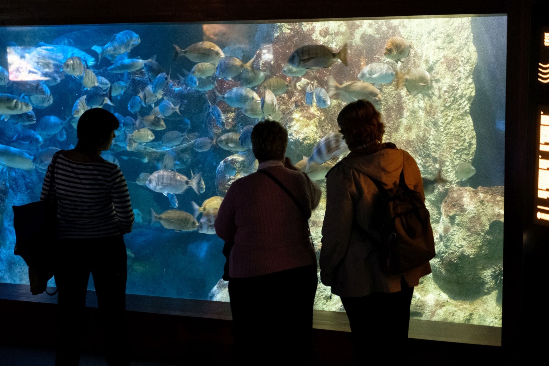 Visita al Aquarium de los suscriptores de El Diario Vasco