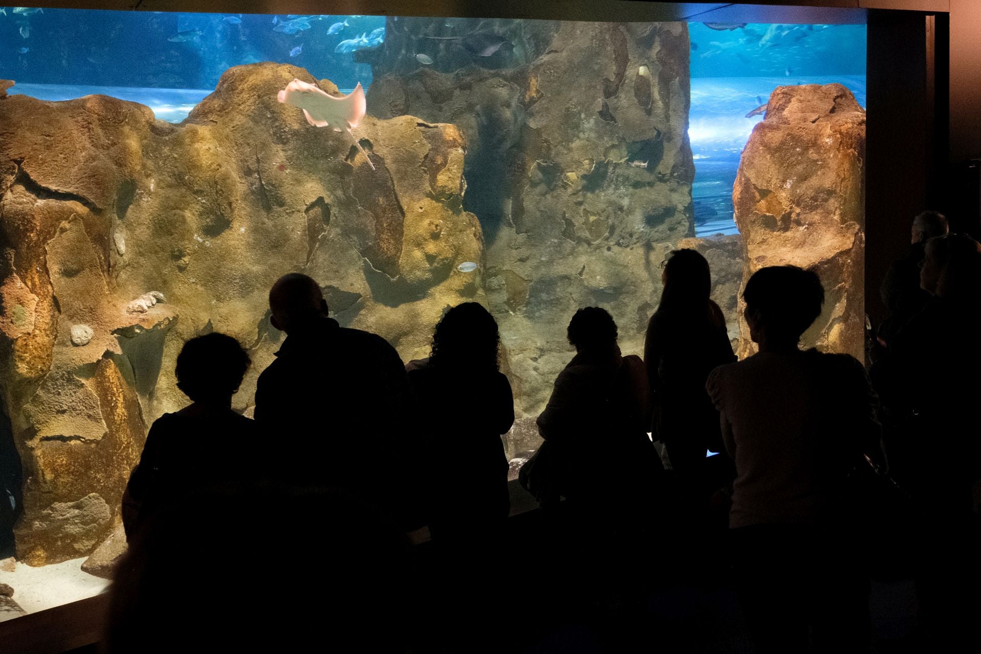 Visita al Aquarium de los suscriptores de El Diario Vasco