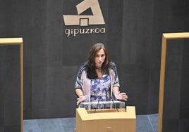 La portavoz de Elkarrekin Podemos en las Juntas de Gipuzkoa, Miren Echeveste, en una comparecencia