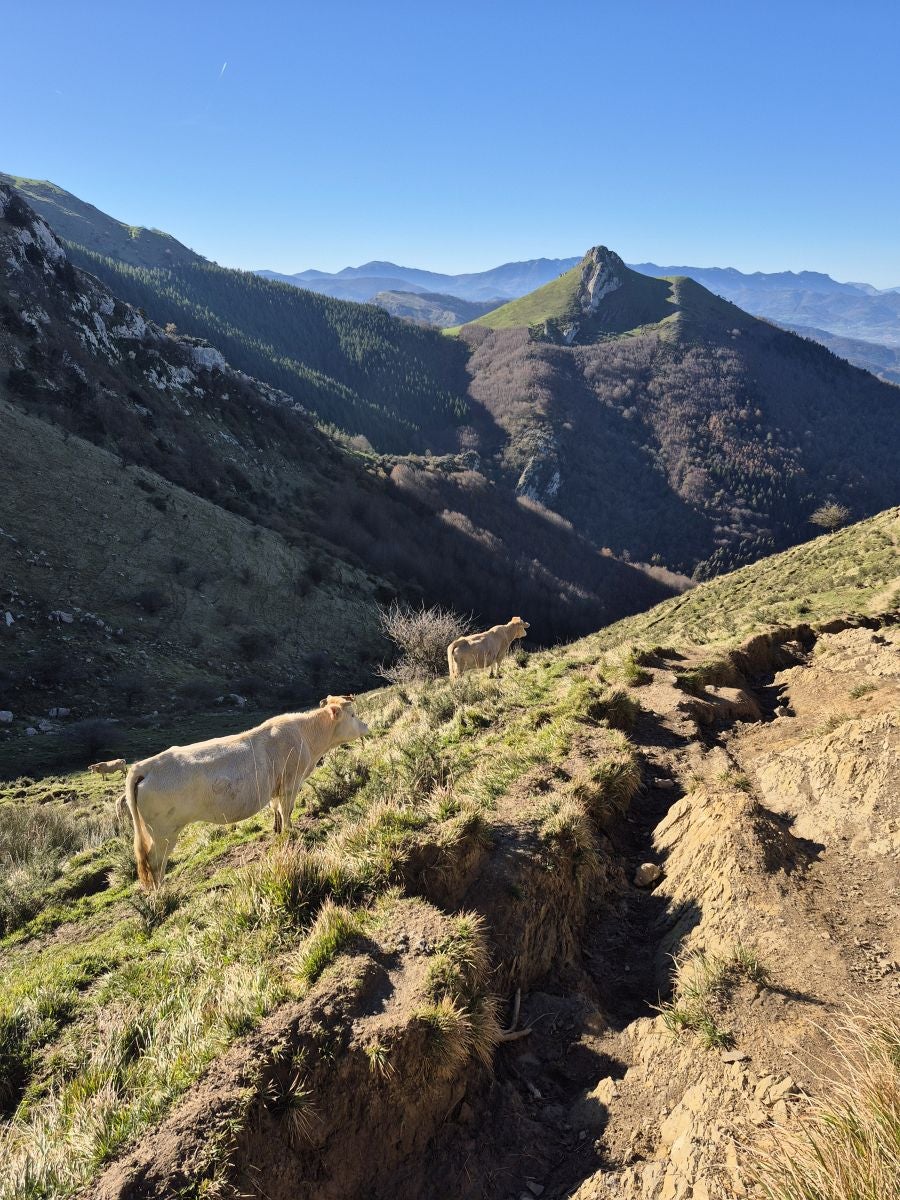 Un lugar para los oficiales