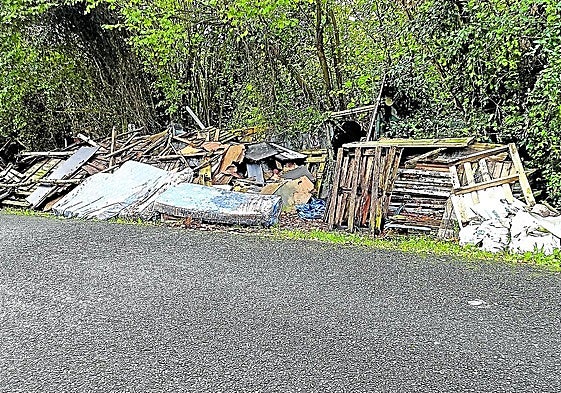Denuncia Maite: «Es lamentable comprobar el incivismo de algunas personas y la pasividad e inhibición del Ayuntamiento de Donostia en este asunto. Mientras tanto, el vertedero ilegal existente en el camino de Uba continúa creciendo de manera exponencial, a pocos metros de una de las entradas al parque Ametzagaña».