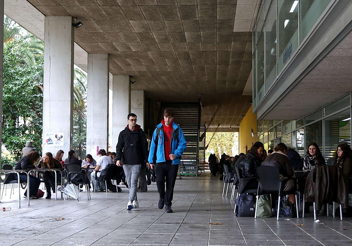 Cafetería del campus de Gipuzkoa de la UPV/EHU.