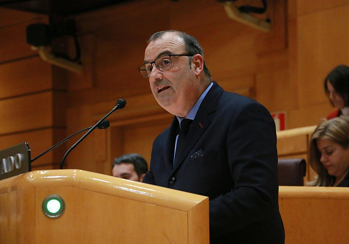 El senador del PNV, Luke Uribe-Etxeberria, durante su intervención.