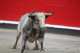 Uno de los toros de Ana Romero, lidiado en la última feria.