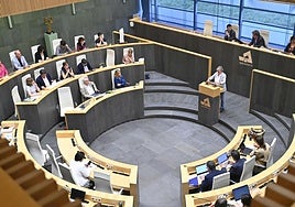 Pleno en las Juntas Generales de Gipuzkoa.