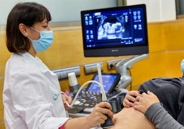 Últimos días para acceder a las ayudas para tratamientos de fertilidad de IVF-Life Donostia