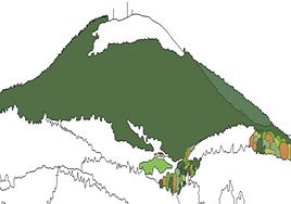 Recreación del monte Muru que ilustra la portada del libro .