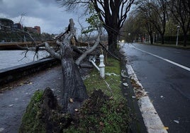 Numerosas incidencias por el temporal en Gipuzkoa