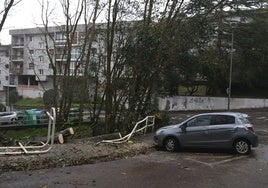 Varios árboles han sido fracturados por la fuerza del viento en el Paseo del Urumea de Donostia.