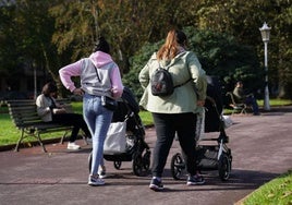 Cuatro de cada diez vascas no tendrán hijos