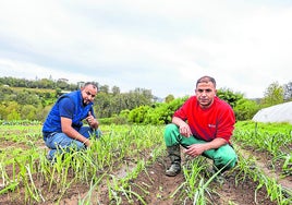 El marroquí Hamza Kaddori y el tunecino Ayoub Bejaoui, trabajando en el exterior de la huerta de Cáritas de Altza.