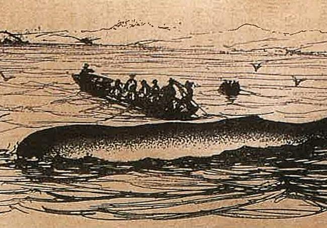 Último cachalote capturado en el País Vasco, por pescadores de Guéthary en 1875.