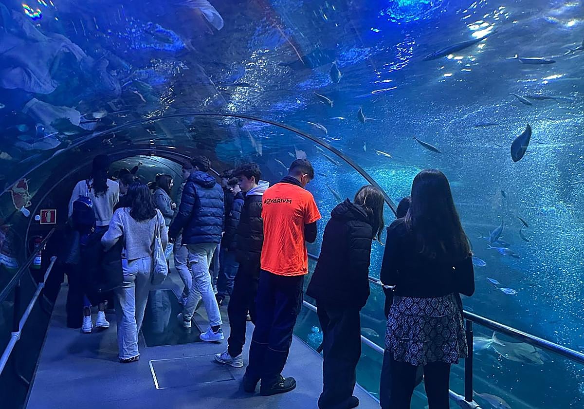 Visita al Aquarium de los participantes en la First LEGO League.