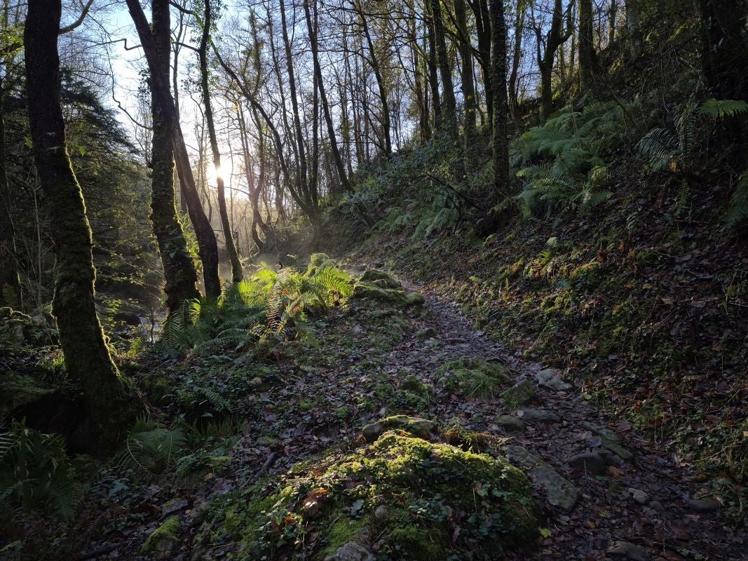 La ruta a Aldura, en imágenes