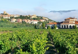 Imagen de archivo de unas bodegas en la localidad alavesa de Laguardia.