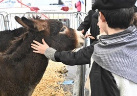 La feria especial de Navidad en Ordizia, la mejor previa de las fiestas