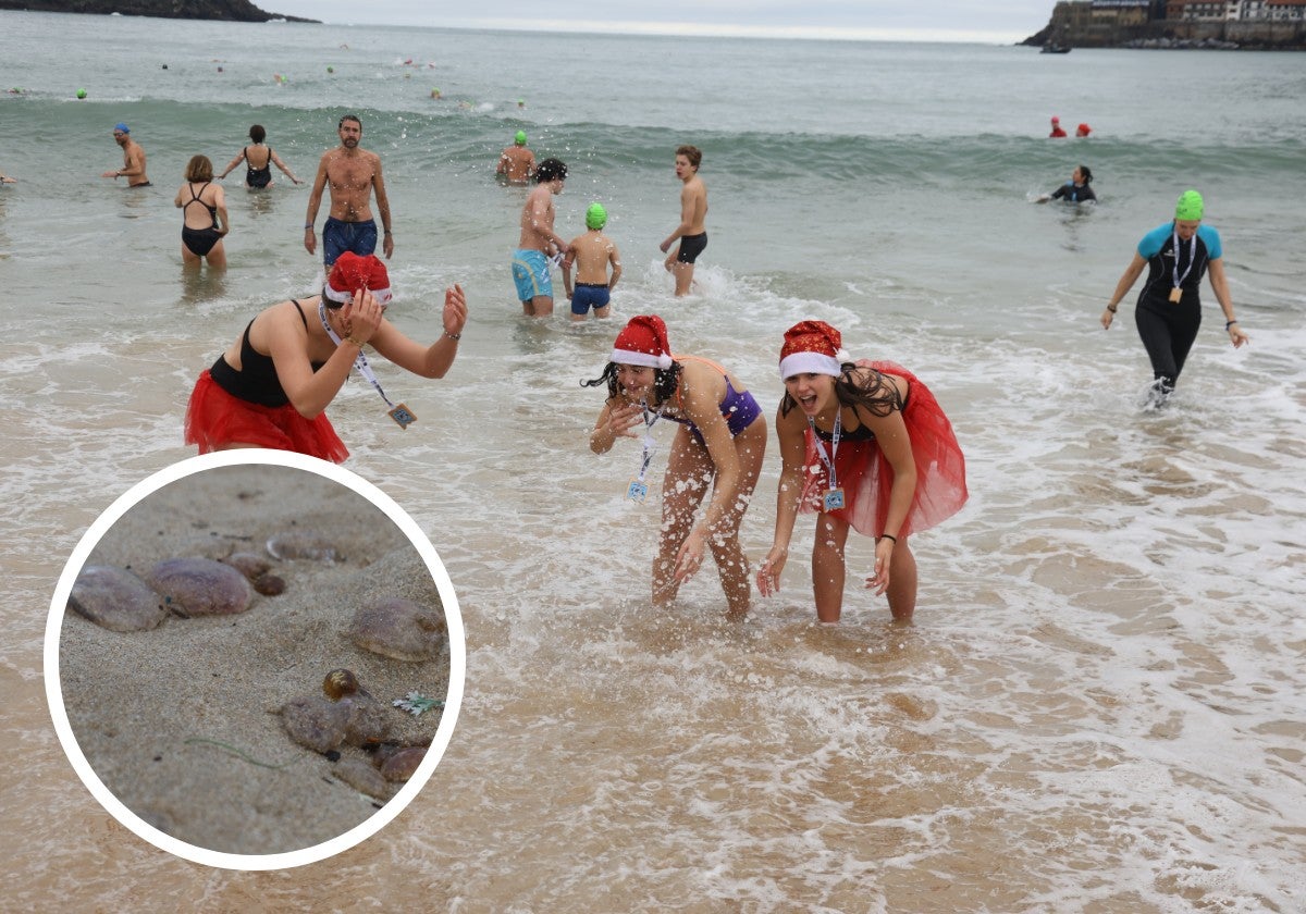 Decenas de personas se han bañado en La Concha a pesar de la presencia de medusas.