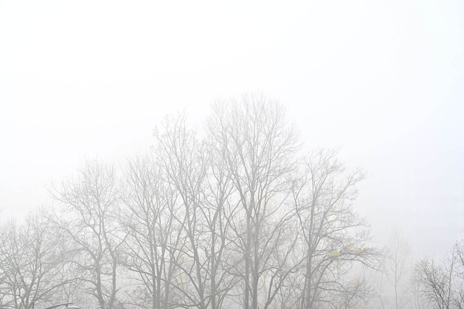 Gipuzkoa amanece bajo una densa niebla