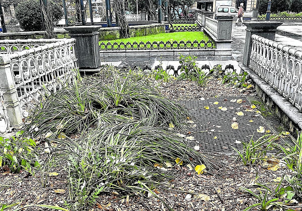 Nos envía esta imagen Maite, que lamenta el deficiente mantenimiento de las zonas verdes: «Qué lástima da ir paseando y ver el estado en el que se encuentran dichos jardines. Sin cuidar y sucios. ¿No hay expertos en el Ayuntamiento que den belleza a los parques y jardines? Otra pena es el estado de los tamarindos de la Concha».