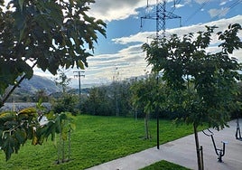 Azoteas verdes o huertos en altura frente al cambio climático